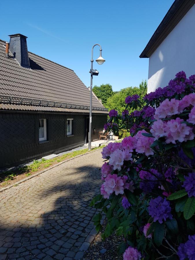 Pilgrims "Elfriede"- Freundliche Unterkunft Remblinghausen Luaran gambar